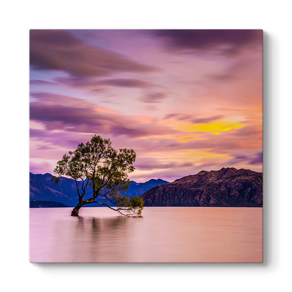 Wanaka Ağacı Tablosu - Model 3